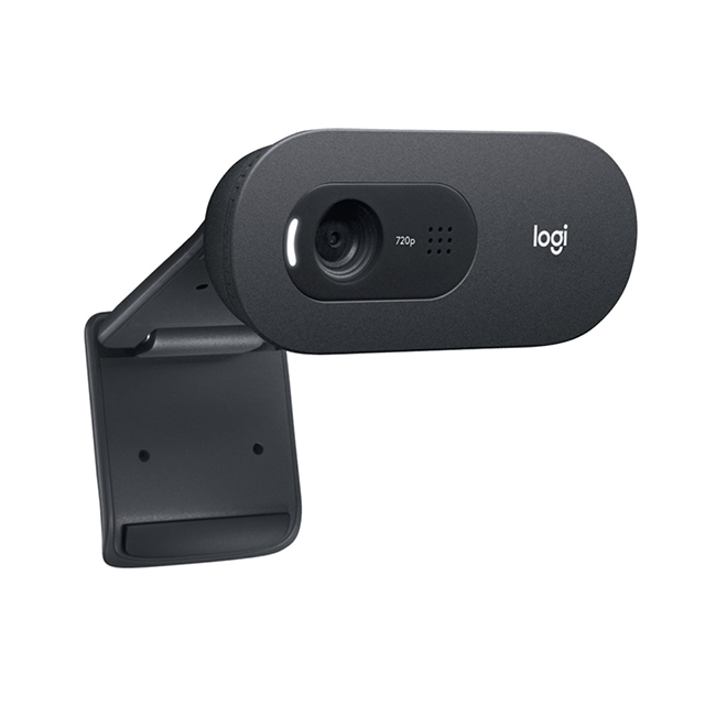 Camara Web Logitech C505 HD WEBCAM | 720P 30 Fps - 960-001367