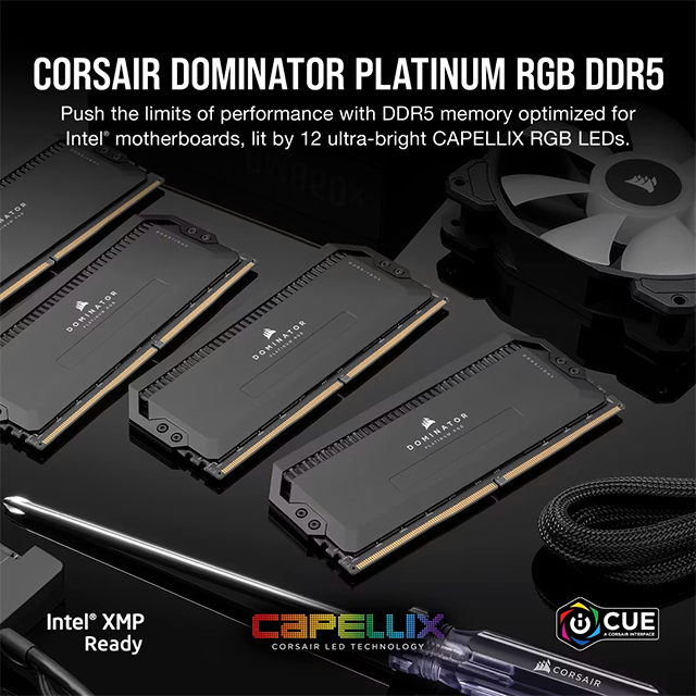 Memoria RAM Corsair Dominator Platinum RGB DDR5 64 GB (2×32 GB) Tray, 5200 MT/s, CL40, Intel XMP, 1.25 V, Negro – CMT64GX5M2B5200C40