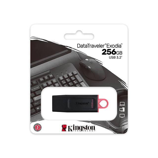 Memoria USB Kingston DataTraveler Exodia 256GB, Negra, USB 3.2 - DTX-256GB