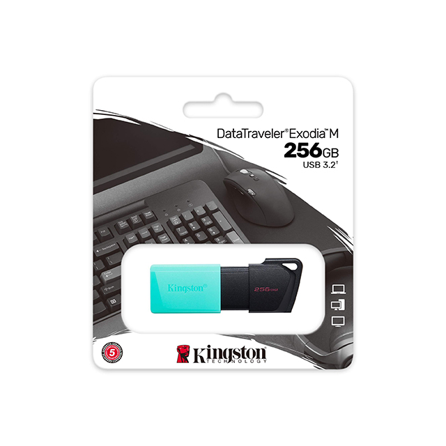 Memoria USB Kingston DataTraveler Exodia M 256GB, Negra con Aqua, USB 3.2 - DTXM-256GB