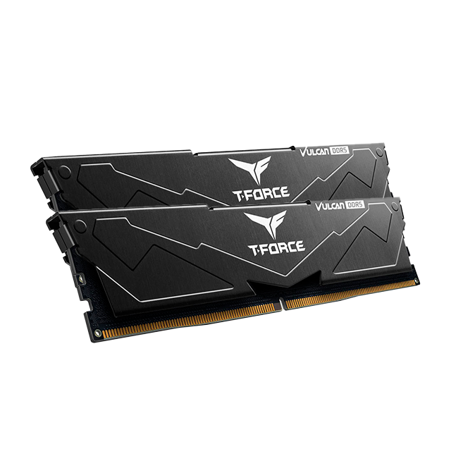 Memoria RAM TeamGroup T-Force Vulcan 16 GB (2 × 8 GB), DDR5, 5600 MHz CL40 – FLBD516G5600HC40BDC01