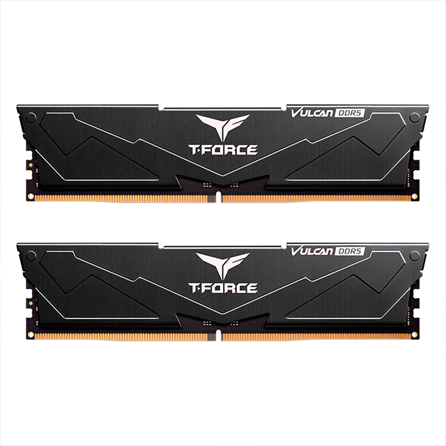 Memoria RAM TeamGroup T-Force Vulcan 16 GB (2 × 8 GB), DDR5, 5600 MHz CL40 – FLBD516G5600HC40BDC01