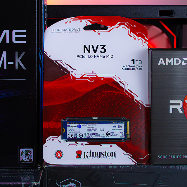PC Gamer Holiday | Ryzen 5 5500 | 16 GB 3200 MHz | SSD M.2 1 TB | RTX 5060 8 GB