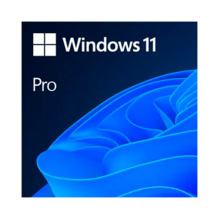 Microsoft Windows 11 Pro, 1 Licencia, Versión Digital ESD, 64 Bits, Multilenguaje, Activación en Línea – FQC-10572